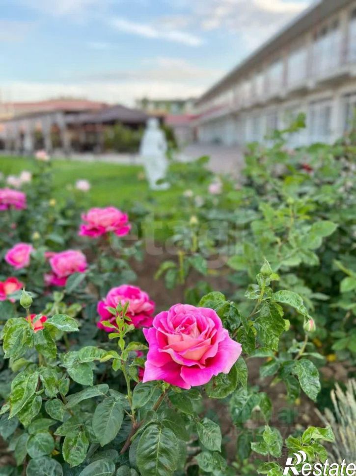 2-комн квартира ул Аллея Дружбы, 63,  д. 63