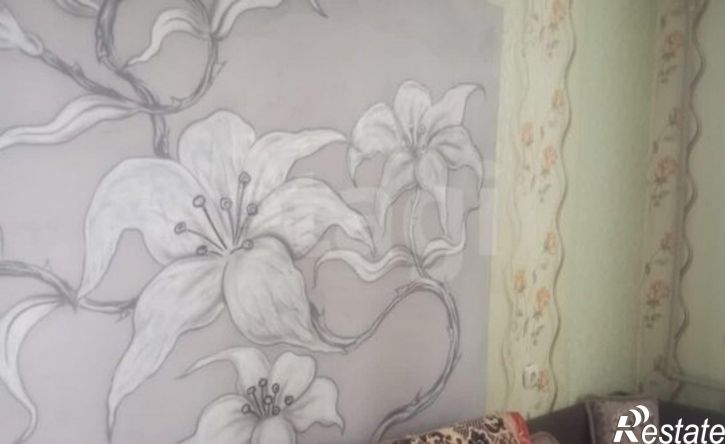 4-комн квартира улица Полупанова, 54А,  д. 54А