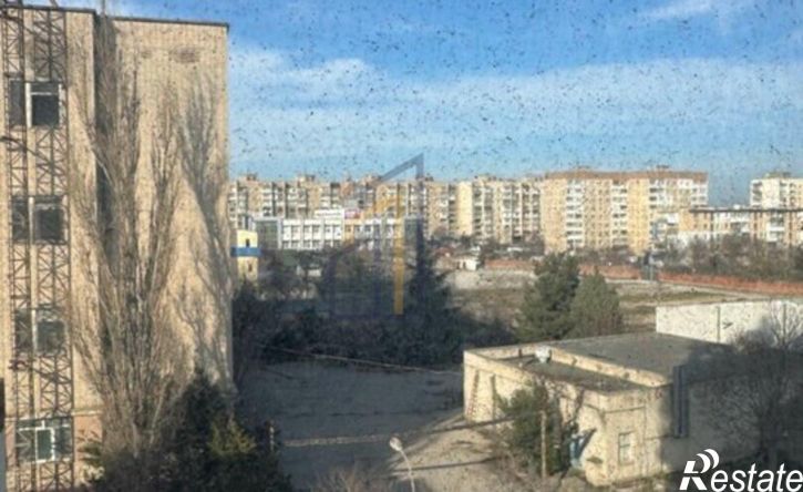 1-комн квартира пр-кт Победы, 32А,  д. 32А