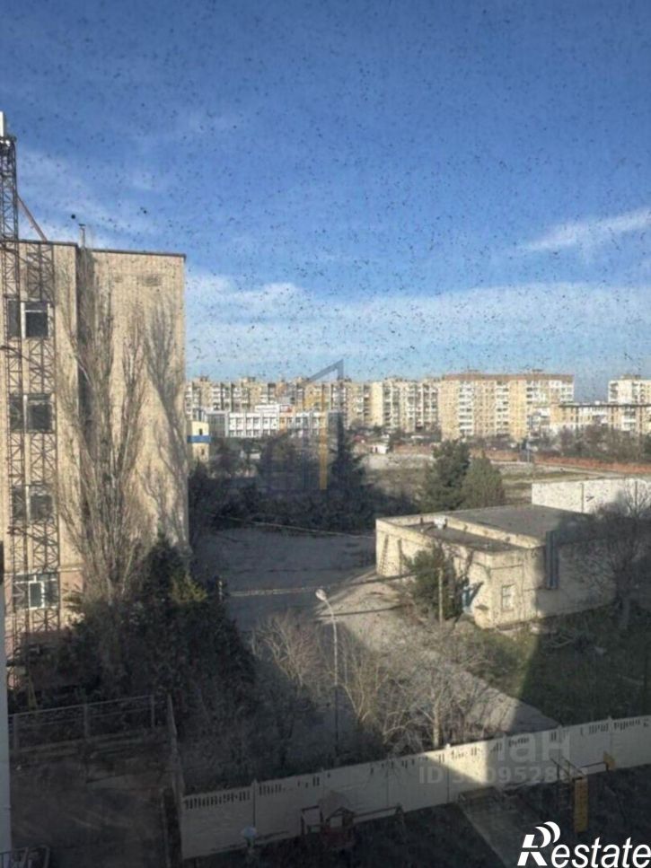 1-комн квартира пр-кт Победы, 32А,  д. 32А