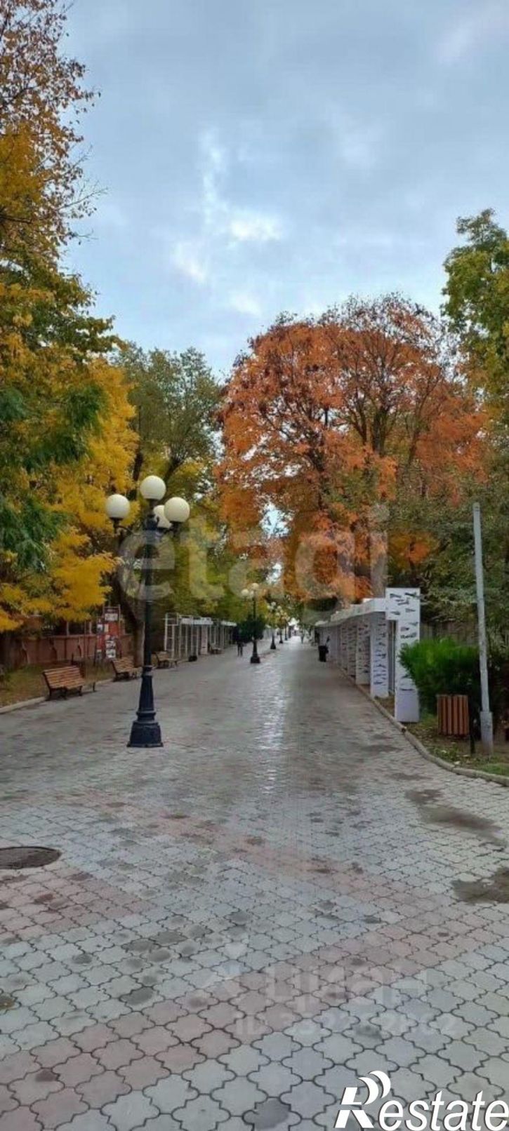 2-комн квартира ул Пушкина, 3,  д. 3